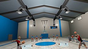 Dodgeball Simulator VR