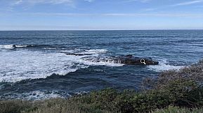 Marcella Moon: Killer at the Cove