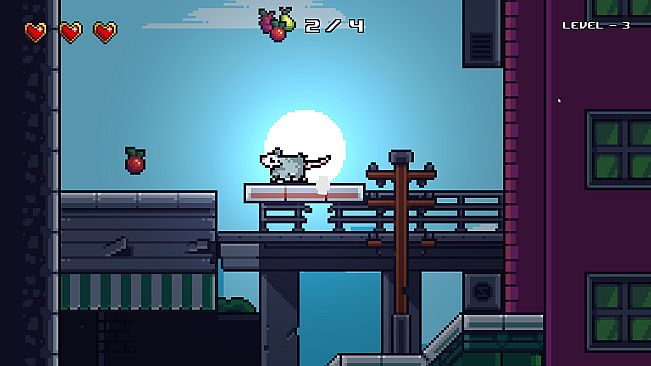 Possum is Hungry Pack