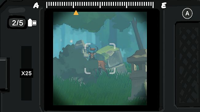 Wildframe : A Creature Scrapbook