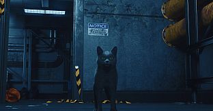 DarkRay