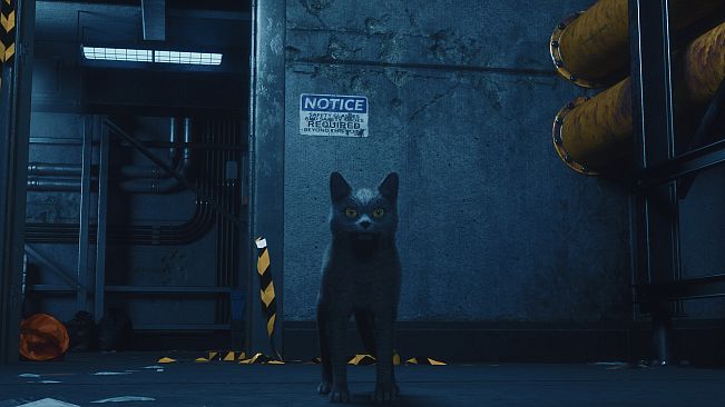 DarkRay