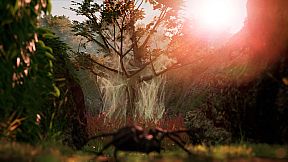 AWAY: The Survival Series