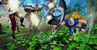 ONE PIECE: PIRATE WARRIORS 4 Character Pass