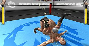 Ultimate Physical Wrestling