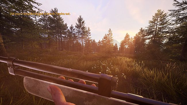 Hunting Simulator 2: A Ranger's Life