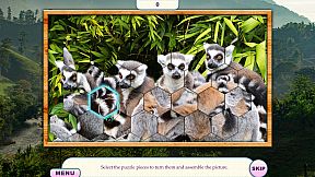 Around the World 3: Amazing Countries Collector's Edition