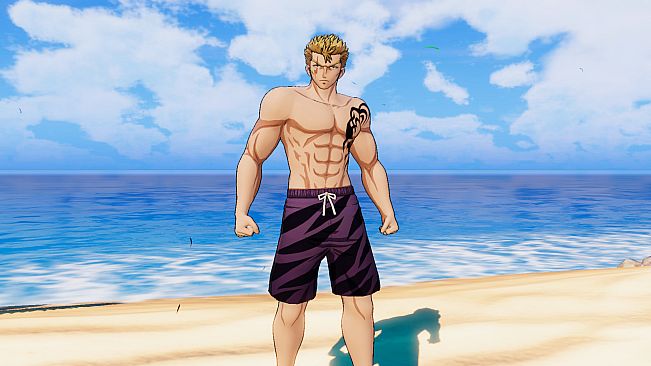 FAIRY TAIL: Special Swimsuit Costume Set for 16 Playable Characters