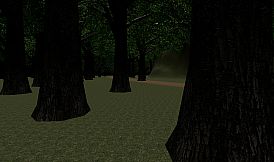 Playtime with Hoogie