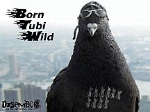 Born Tubi Wild