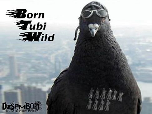Born Tubi Wild