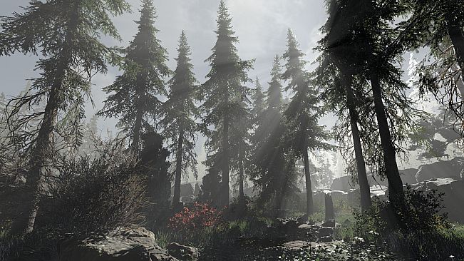 Volhv: Memoir of the Witch Doctor