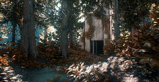 Asemblance: Oversight