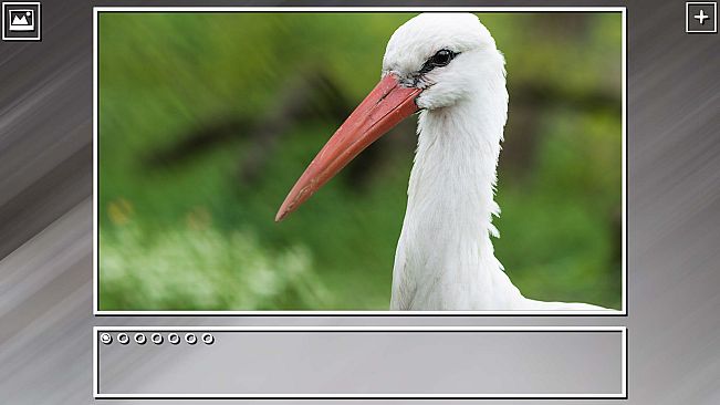 Super Jigsaw Puzzle: Generations - Birds Puzzles