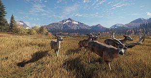 theHunter: Call of the Wild - Facing the Wild 1