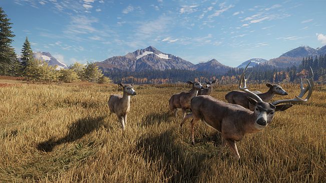 theHunter: Call of the Wild - Facing the Wild 1