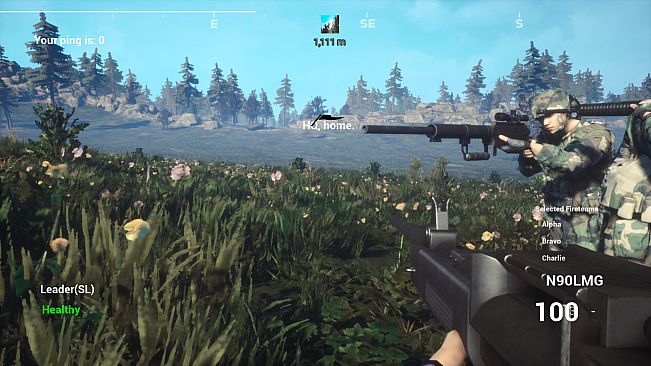 Liberation Special Forces