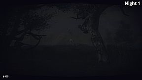 Entity: Midnight’s Watcher