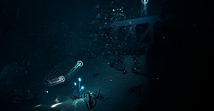 JELLYFISH