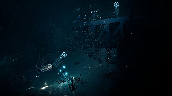JELLYFISH