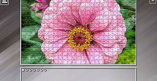 Super Jigsaw Puzzle: Generations - Flowers 2