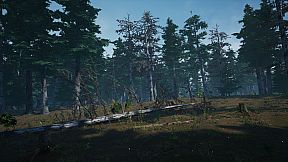 Mushroom Picker Simulator