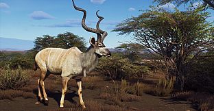 Way of the Hunter - Tikamoon Plains