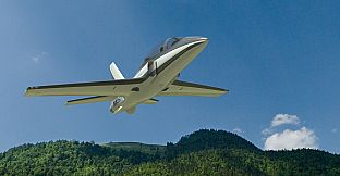 RealFlight Evolution - 2024 Year Content Pass