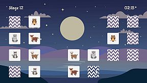 Memory Holder: Animal Kingdom