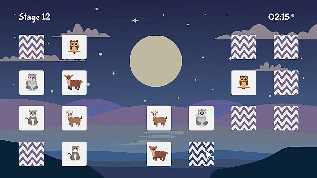 Memory Holder: Animal Kingdom