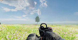 Border Of Insanity Origins