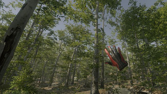 VR Walking Simulator