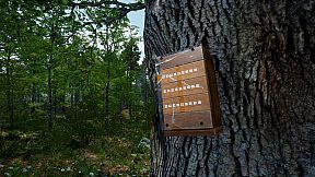 Tales From The Cache