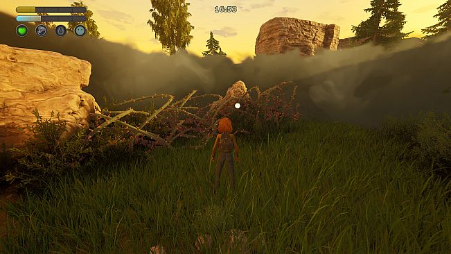 Quiet Grove: Lost in the Fog