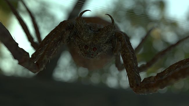 Bram Stoker's Dracula