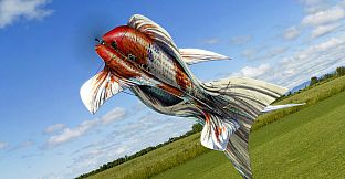 RealFlight Evolution - Koi (F3P-A)