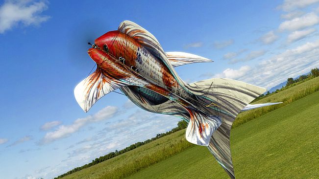 RealFlight Evolution - Koi (F3P-A)