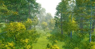 Cozy Country