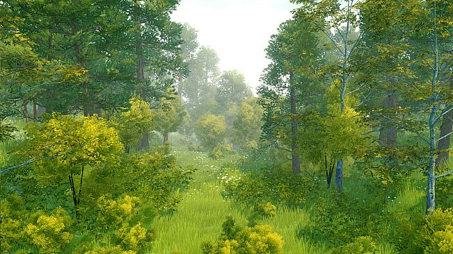Cozy Country