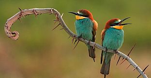 Pleasure Puzzle:Workshop - Part 5