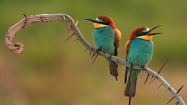 Pleasure Puzzle:Workshop - Part 5