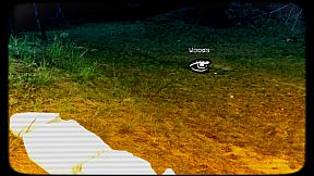 A Trip to Yugoslavia: Director's Cut