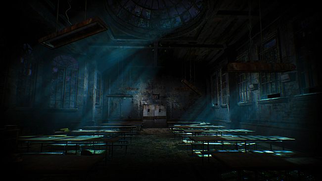 Asylum