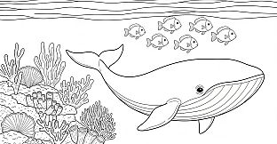 100 Cats Lost in Undersea Wonders