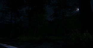 The Echoes Below