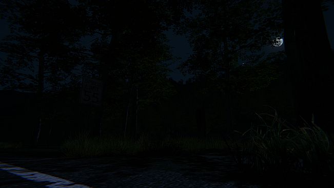 The Echoes Below