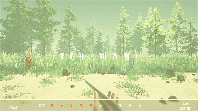 Duck Flight Simulator 2021