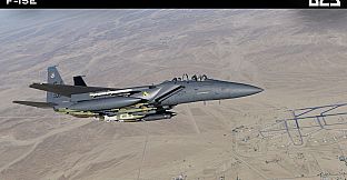 DCS: F-15E