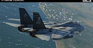 DCS: F-14A/B Tomcat by Heatblur Simulations