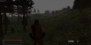 Viking Age: Odin's Warrior